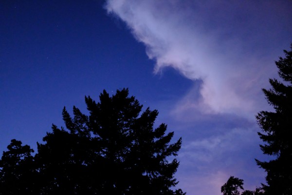 White cloud and tree at dusk