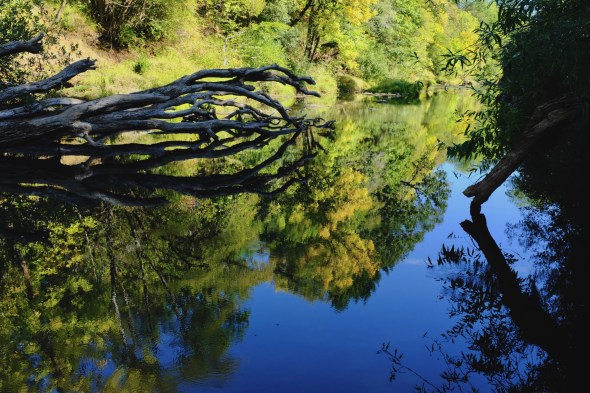 Fall foliage reflected in river