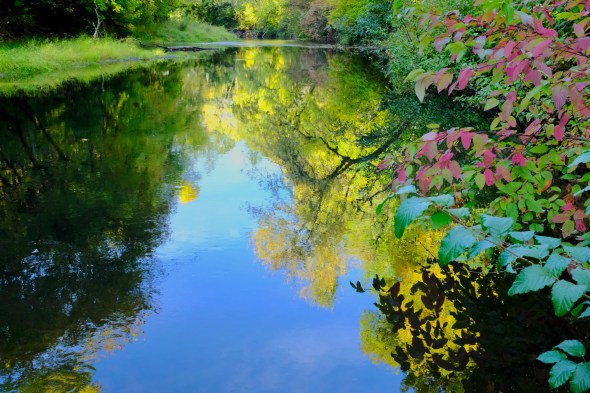 marys river and fall foliage, oregon