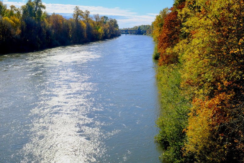 Willamette River and Fall Foliage