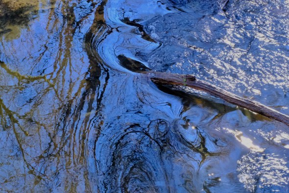 Reflection of trees in creek