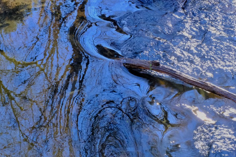 Reflection of trees in creek