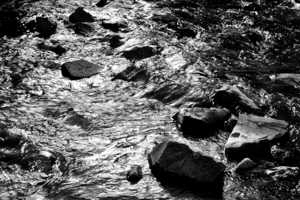 Rocks in stream