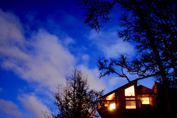 House, bare trees and sky at dusk