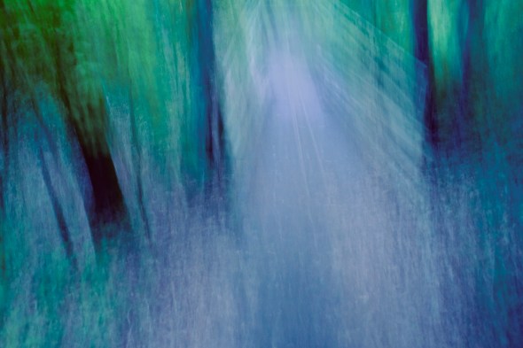 Blur of forest and bridge in twilight