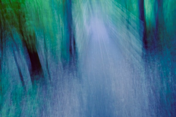 Blur of forest and bridge in twilight