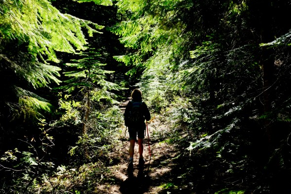 hiker on forest trail