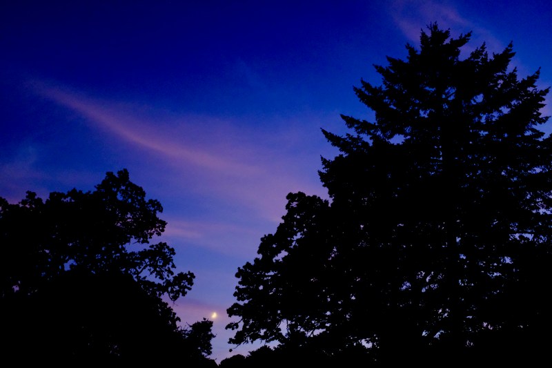 crescent moon at dusk