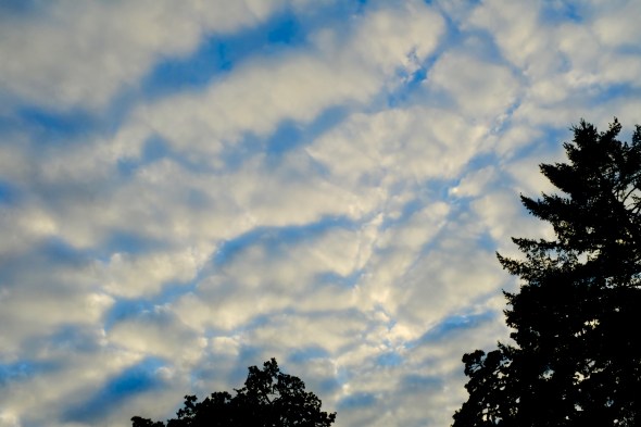 White clouds in blue sky