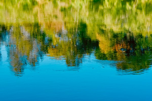 fall foliage reflected in river