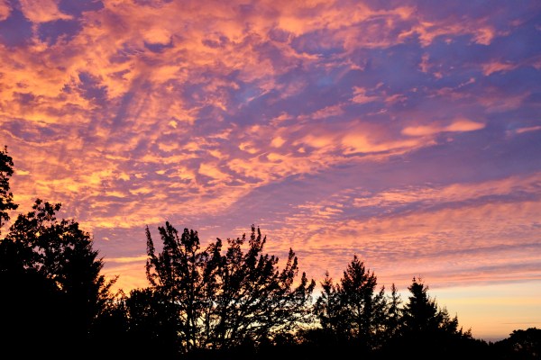 Sunrise with orange clouds