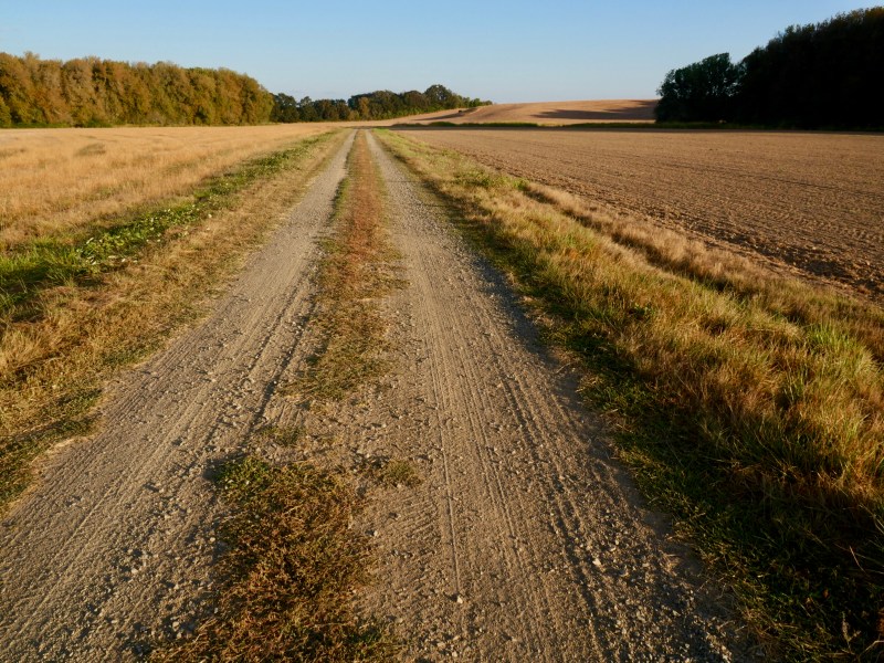 road through wildlife refuge