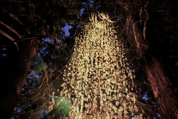 Large tree sculpture illuminated at dusk - Emeritus by John Grade