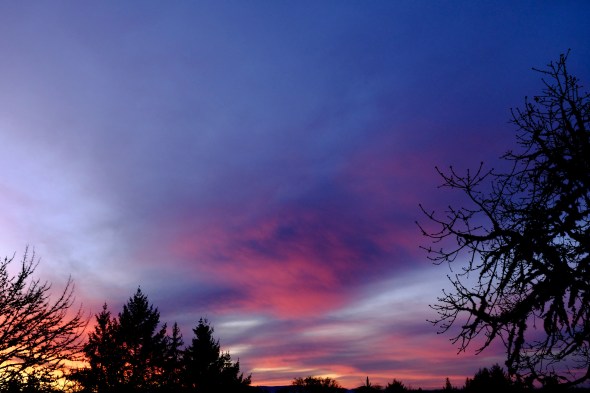 Eastern sky with pink clouds at dawn