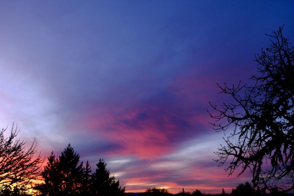 Eastern sky with pink clouds at dawn
