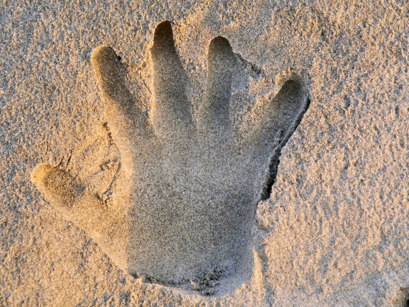 handprint in sand at beach