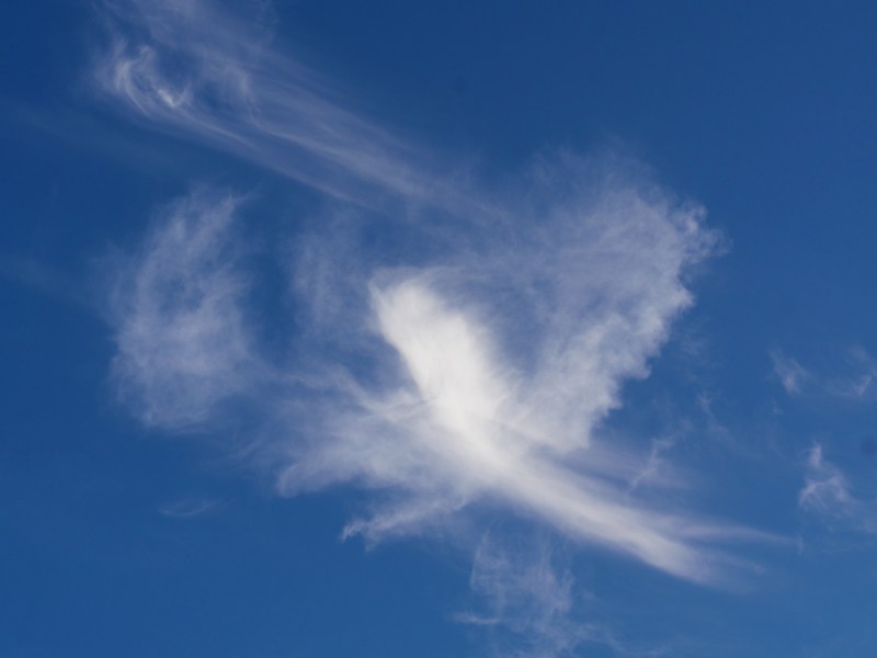 blue sky with white, feathery clouds