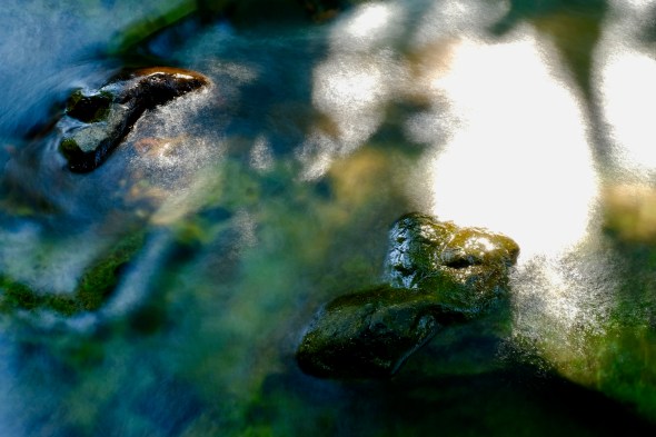 sunlit rocks in river