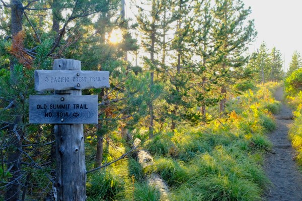 Pacific Crest Trail sign and trail