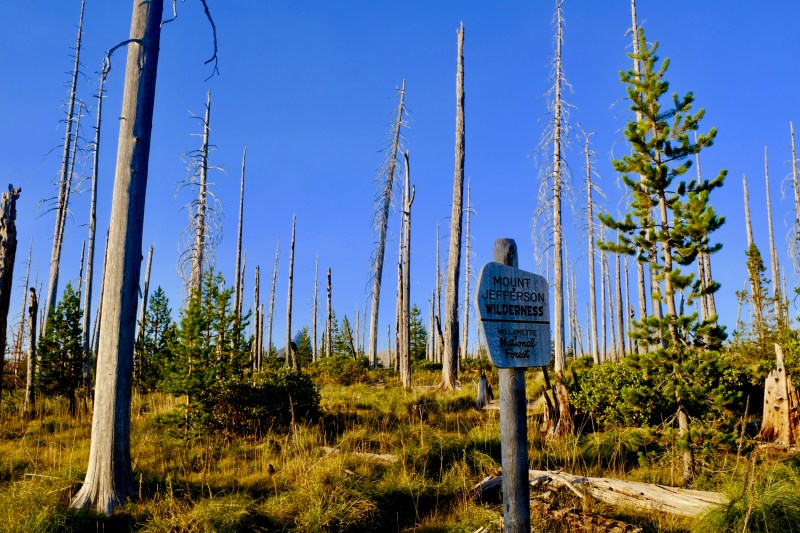 mt. jefferson wilderness and sign