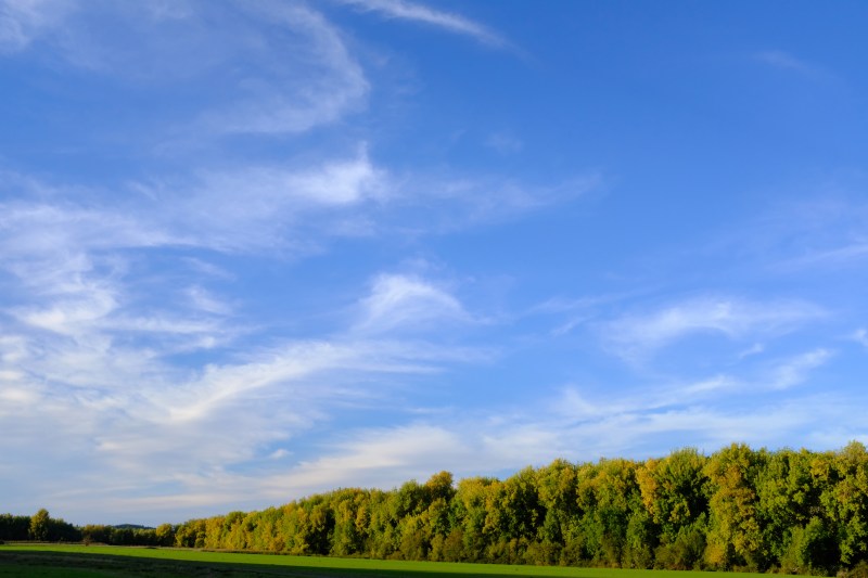 fall foliage and blue sky