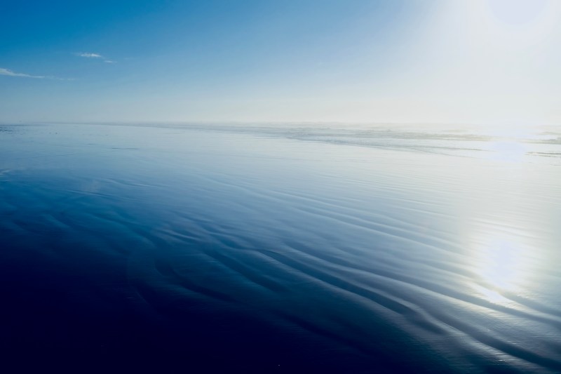 shoreline on the Oregon coast