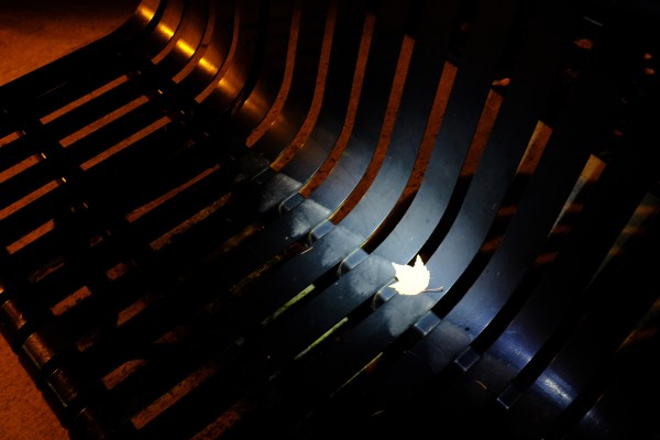 maple leaf on black metal bench at night