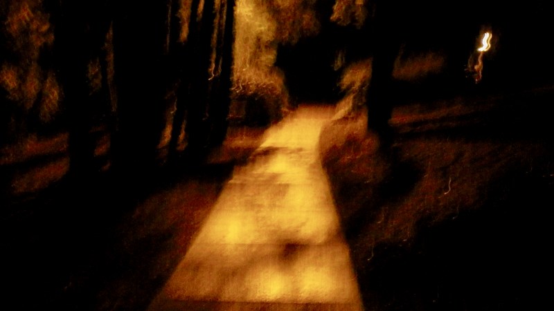 spooky path at night