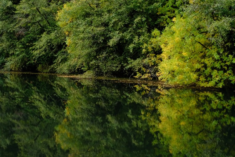 autumn foliage along lakeshore