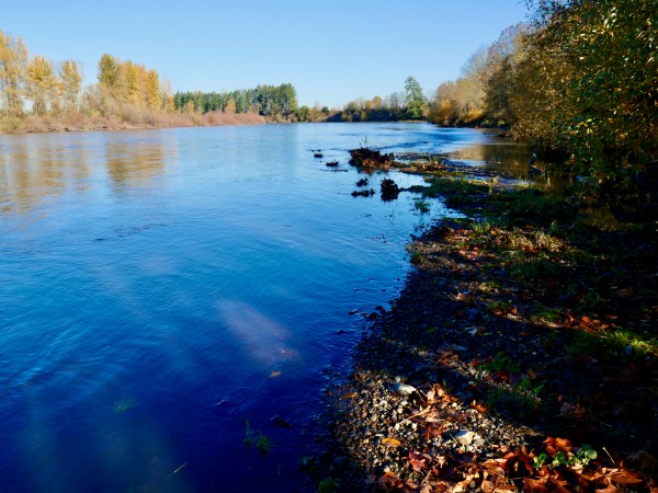 River and autumn foliage