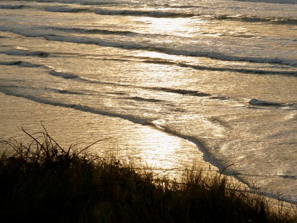 golden surf lapping up on beach
