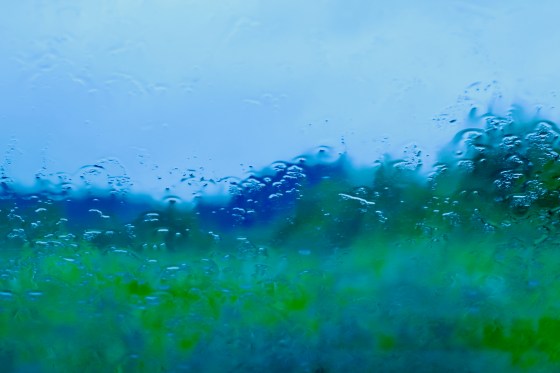 abstract of green spring landscape seen through wet windshield