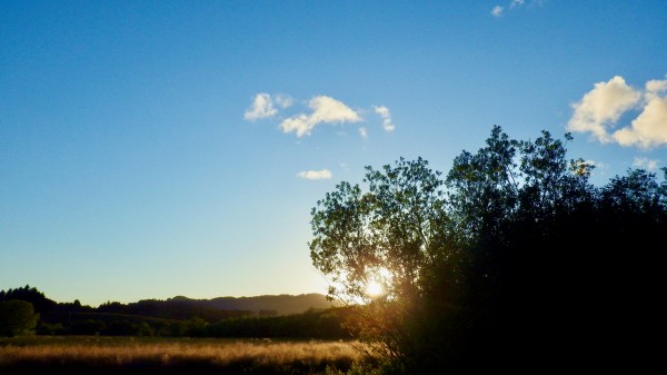 sun setting over marsh