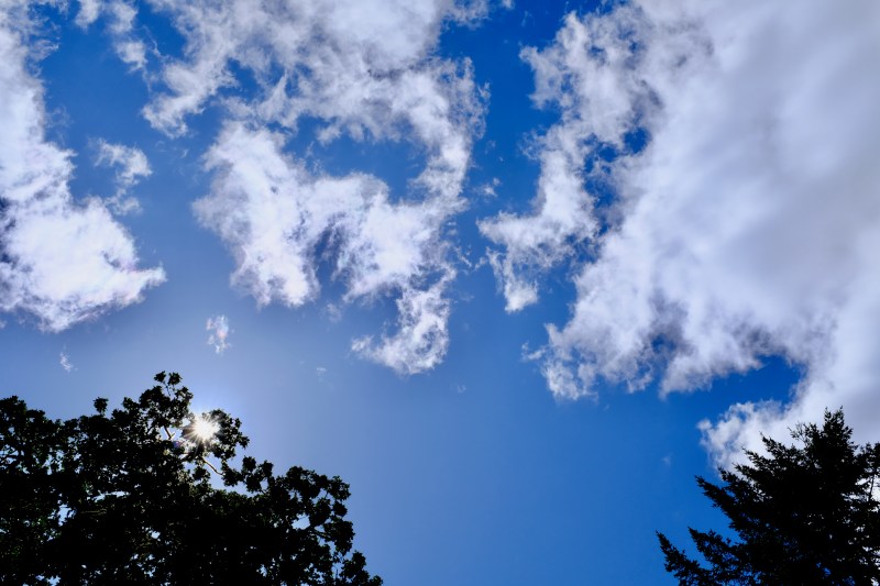 blue sky, white clouds and silhouetted treetops