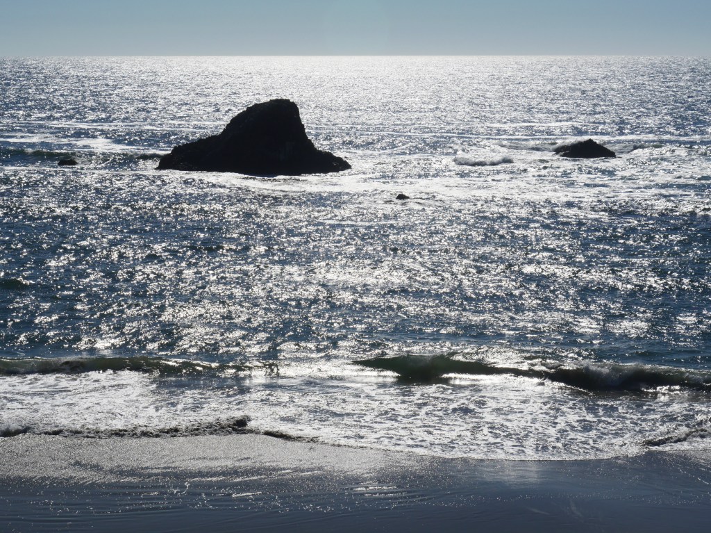 Pacific Coast surf and rocky islet