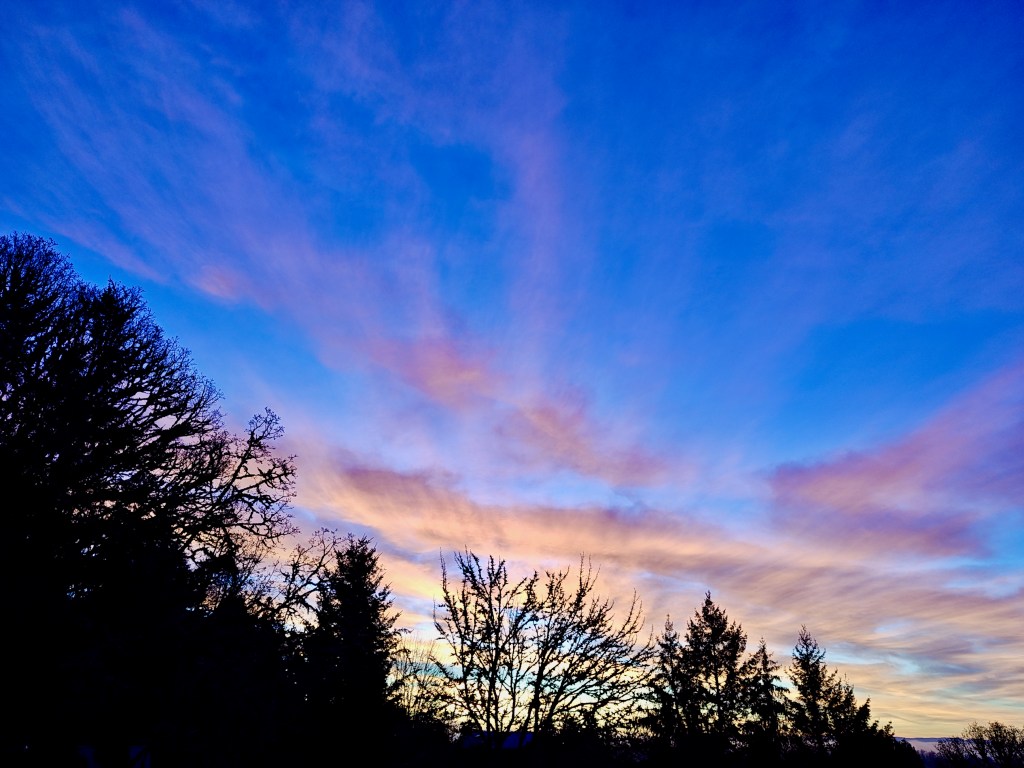 bare trees, orange clouds, andblue sky at dawn