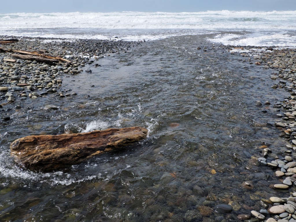 stream with driftwood and cobbles running into Pacific Ocean surf