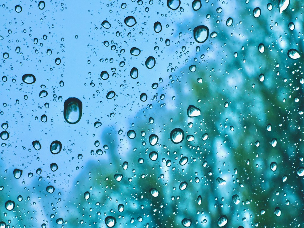 raindrops on car window with blurred trees in background