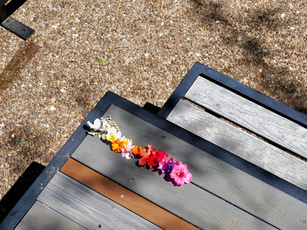row of colorful flowers on picnic table