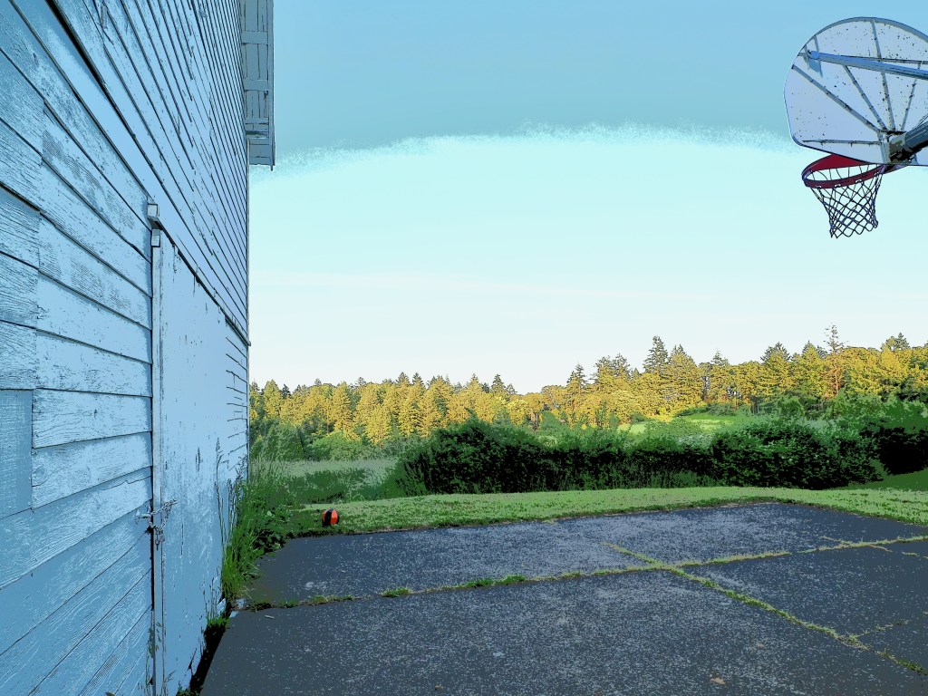 basketball court, barn, meadow and trees 