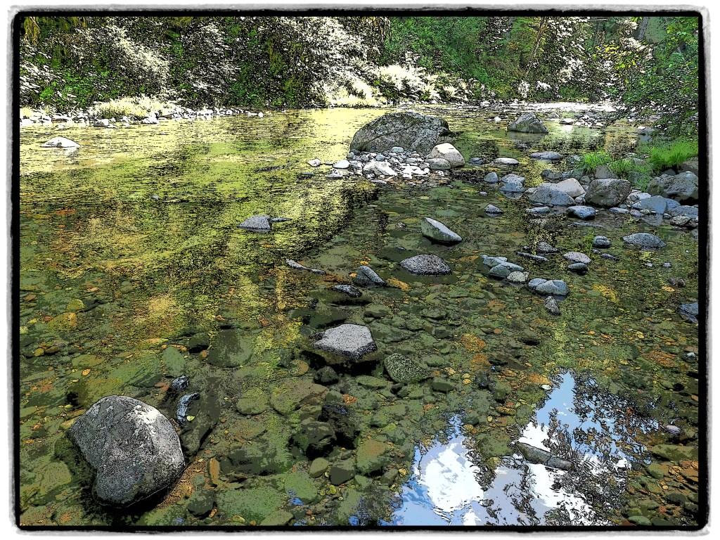 river and rocks and forest