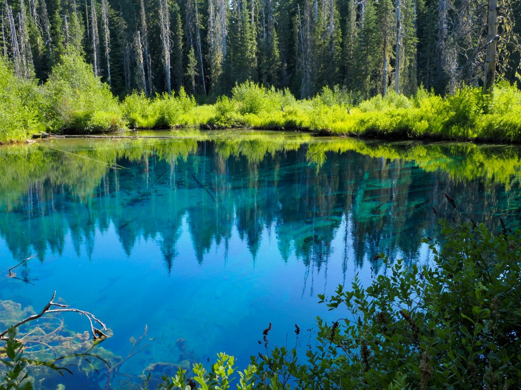 sapphire blue lake rimmed by bright green foliage and conifers