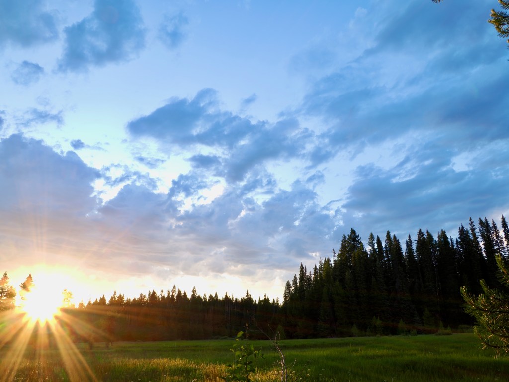 sunset in meadow surrounded by silhouetted forest