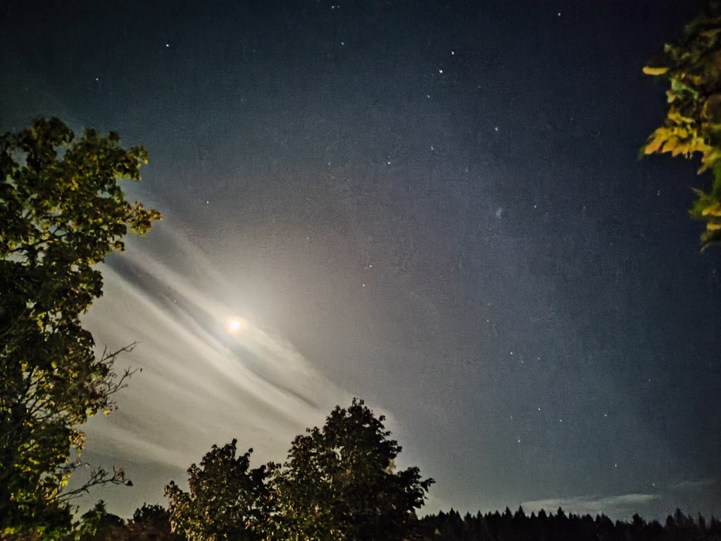 night sky with high clouds and silhouetted trees
