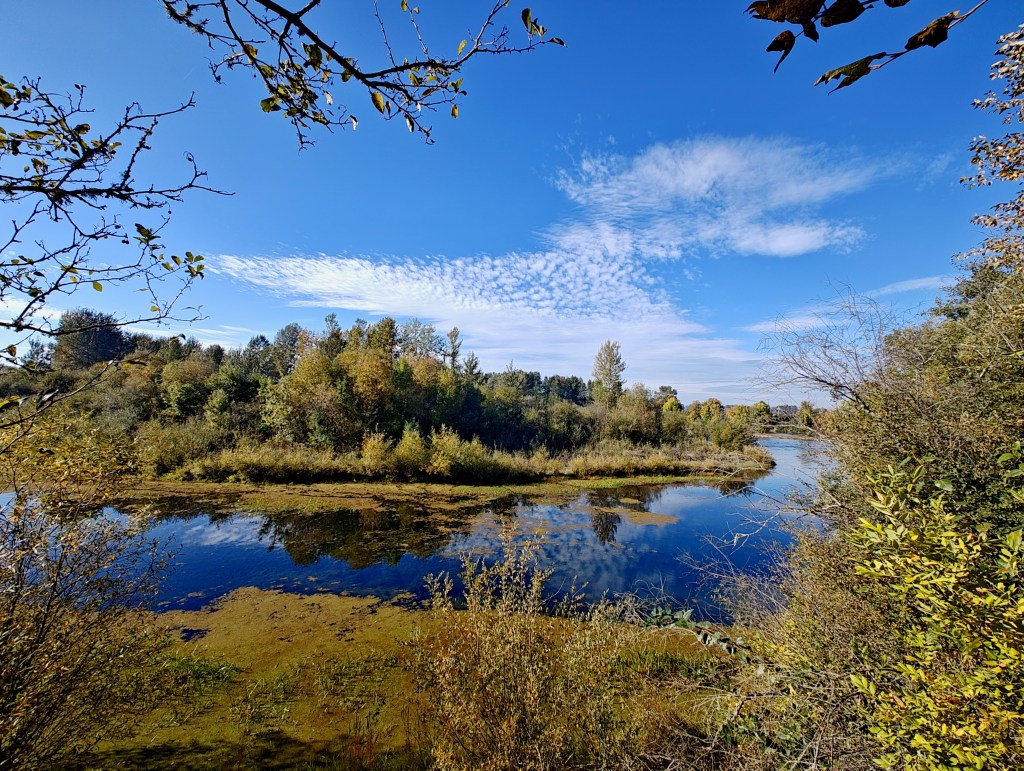 calm blue river flowing through autumn landscape of tawny trees