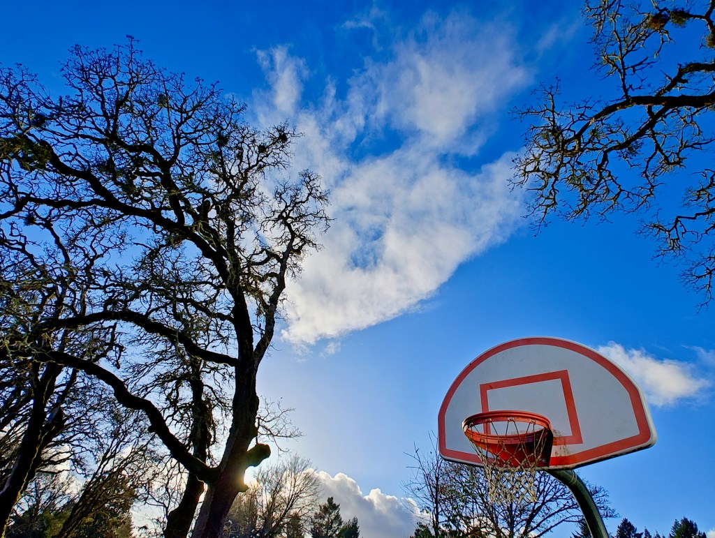 basketball goal, bare trees and blue sky
