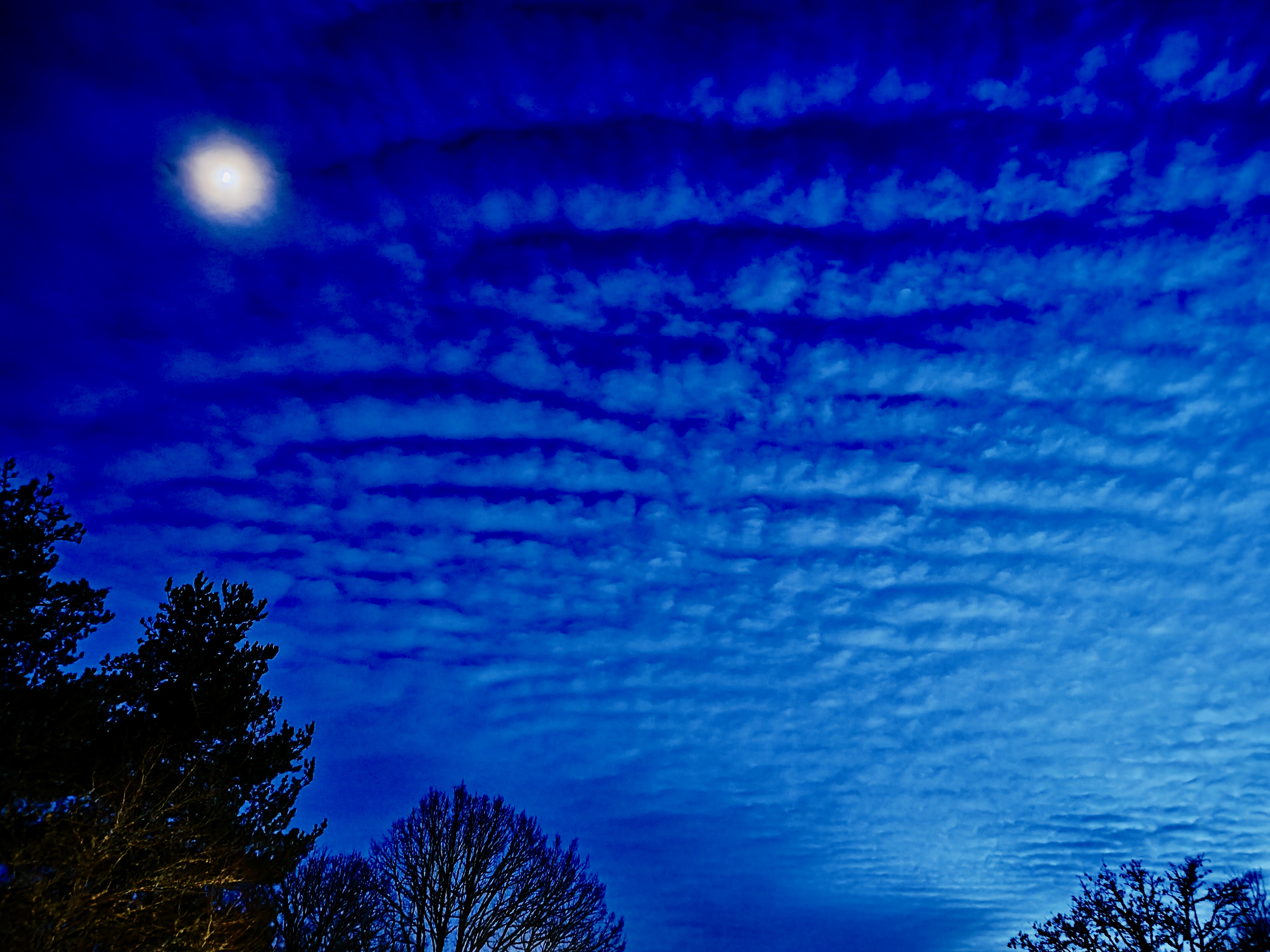 night sky with moon, clouds, and silhouetted trees
