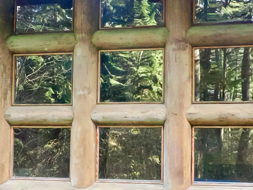 heavy wooden window frame with forest reflected in the panes