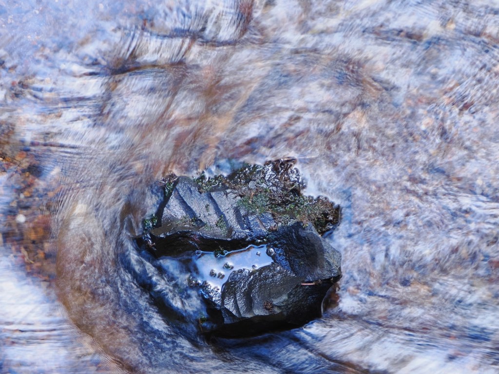 stone in riffle of small creek