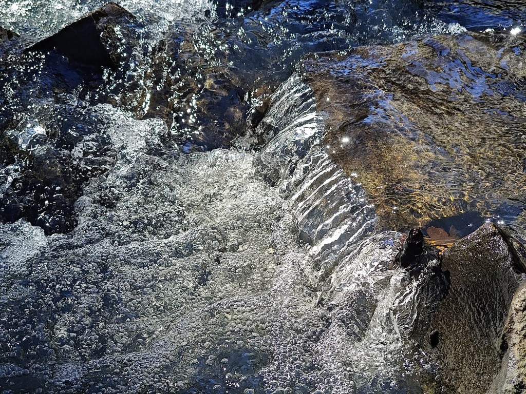 whitewater riffle and rocks in small creek